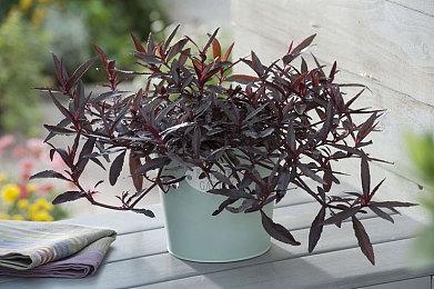 《最后的生还者》PC版跳票 延期至3月28日