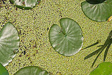 《武装突袭3》新DLC上线 聚焦海军陆战队战斗体验